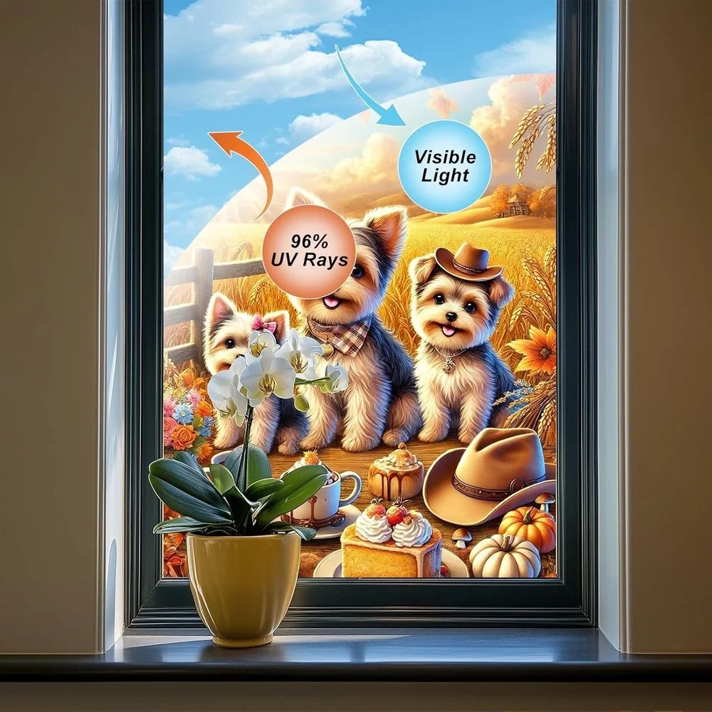 Rainbow Privacy Window Film 24x36 